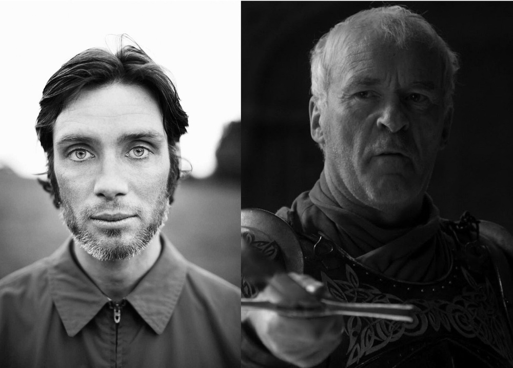 Cillian Murphy as Barristan Selmy